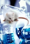 Τέρμα στα πειραματόζωα ! !!