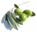 Λάδι ελιάς για γερή καρδιά